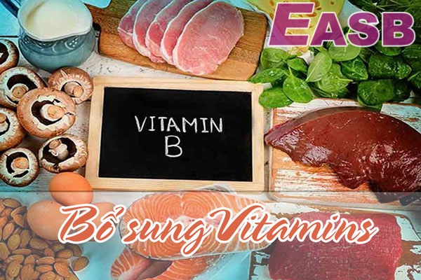 Vitamin B2 (Riboflavin) có vai trò rất quan trọng trong cơ thể nhất là làn da